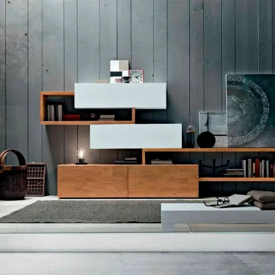 Parete Attrezzata Box C85B in legno e laccato bianco opaco di FGF Mobili